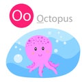 Illustrator of O for octopus animal