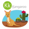 Illustrator of K for kangaroo animal