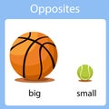 Illustrator of opposites big and small