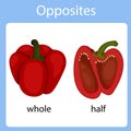 Illustrator of opposites whole and half