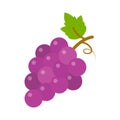 Grapes icon, vector fruit illustration, nature wine Royalty Free Stock Photo