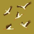 Stork Fly Set Vector Illustration