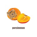 Illustration with the image of a persimmon and persimmon in a cut. Bright fruit logo or icon for your design.