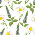 Sage and chamomile seamless pattern on white background.