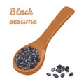 Black sesame in wooden spoon. Vector illustration of heap of seeds