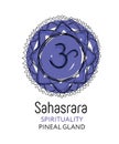 Sahasrara - the crown chakra, energy center of human body. For ayurveda, yoga design Royalty Free Stock Photo