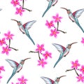 Seamless pattern with pink flowers. Floral dÃÂ©cor of plumeria branch and exotic tropical humming bird. Royalty Free Stock Photo