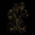 Decorative golden amaryllis line flowers bouquet on black background.