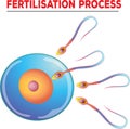 Illustration of solution fertilization process with colourful design Royalty Free Stock Photo