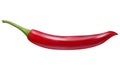 Realistic Vector Red Chilli isolated in White Background