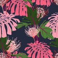 Exotic green and pink tropical palm leaves and protea flowers, dark blue background. Royalty Free Stock Photo