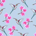 Seamless pattern with pink flowers. Floral dÃÂ©cor of plumeria branch and exotic tropical humming bird. Royalty Free Stock Photo