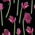 Beautiful blooming seamless pattern with violet pink Lilies flowers. Royalty Free Stock Photo