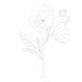 Coloring. Bouquet of poppies. Abstraction. Two black white flowers and one bud. Royalty Free Stock Photo