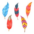 Feather Set Hand drawn painted in watercolor