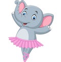 Cartoon elephant ballet dancer on white background Royalty Free Stock Photo