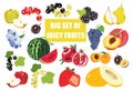 Big fruit set doodle illustration isolated on white background. Vector food icons Royalty Free Stock Photo