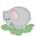 Funny elephant stands on the grass on a white background.