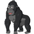 Cartoon funny gorilla on white background