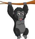 Cartoon baby gorilla hanging in tree branch