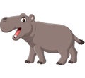 Cartoon smiling hippo isolated on white background Royalty Free Stock Photo