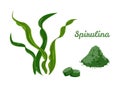 Spirulina set. Alga, pills and powder isolated on white background.