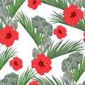 Green tropical palms, cacti and hibiscus flowers, white background. Floral seamless pattern. Royalty Free Stock Photo