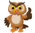 Cartoon owl giving thumbs up Royalty Free Stock Photo