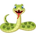 Cute green snake cartoon on white background Royalty Free Stock Photo