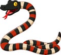 Cartoon coral snake on white background