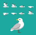 Seagull Flying Animation Sequence Cartoon Vector Royalty Free Stock Photo