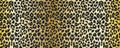 Seamless pattern wild animal skin of gepard, leopard, cheetah.