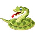 Cartoon green snake on white background