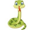 Cute green snake cartoon on white background Royalty Free Stock Photo