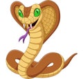 Cartoon king cobra snake on white background Royalty Free Stock Photo