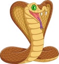 Cartoon king cobra snake on white background Royalty Free Stock Photo