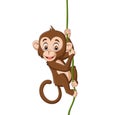 Cartoon baby monkey hanging on a tree branch Royalty Free Stock Photo