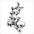 Vintage flower design elements. Black curly branches shapes isolated on white background. Vector illustration Royalty Free Stock Photo