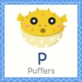 Illustrator of P for Puffers animal Royalty Free Stock Photo