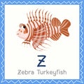 Illustrator of Z for Zebra Turkey fish animal Royalty Free Stock Photo