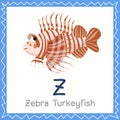 Illustrator of Z for Zebra Turkey fish animal