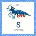 Illustrator of S for Shrimp animal