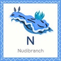 Illustrator of N for Nudibranch animal