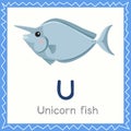 Illustrator of U for Unicorn fish animal