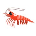 Illustrator of shrimp animal under water