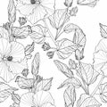 Decorative seamless pattern with hand-drawn line black and white Tropical hibiscus flowers Royalty Free Stock Photo