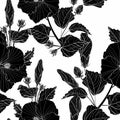 Black hibiscus - flowers and buds. Seamless white background pattern. Wallpaper. Royalty Free Stock Photo