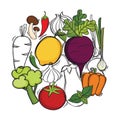 Hand drawn illustration with vector organic vegetables. Creative concept healthy food.