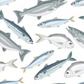 Fish seamless pattern. Mackerel, salmon, sardine, dorado.