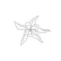 Black Line Art Columbine Flower in Hand Drawing Vector Art